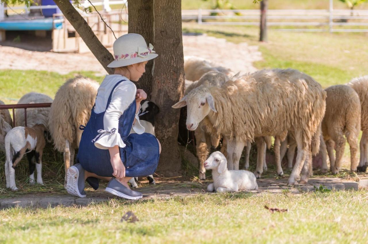 Oon Valley Farm Stay San Kamphaeng 외부 사진